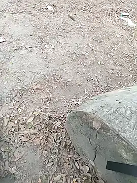 Snapshot of Dasdhon chatting on November 18, 2025, 10:20 am Dasdhon online show from November 18, 2025, 10:20 am