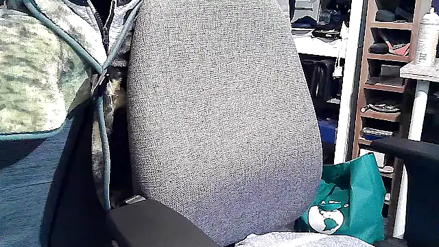 Snapshot of georgew62 chatting on September 20, 2025, 11:50 pm georgew62 online show from September 20, 2025, 11:50 pm