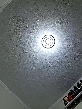 Snapshot of Bottz777 chatting on November 2, 2025, 12:24 am Bottz777 online show from November 2, 2025, 12:24 am