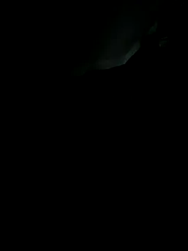 Snapshot of sebo801 chatting on September 18, 2025, 5:31 am sebo801 online show from September 18, 2025, 5:31 am