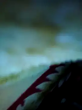 Snapshot of alone_boy802 chatting on November 13, 2025, 3:38 am alone boy802 online show from November 13, 2025, 3:38 am