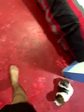 Snapshot of hot_duo16 chatting on October 29, 2025, 4:15 am hot duo16 online show from October 29, 2025, 4:15 am