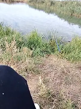 Snapshot of Dragos_01 chatting on September 28, 2025, 6:41 am Dragos 01 online show from September 28, 2025, 6:41 am