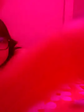 Snapshot of xcodigorojo chatting on November 20, 2025, 6:57 am xcodigorojo online show from November 20, 2025, 6:57 am