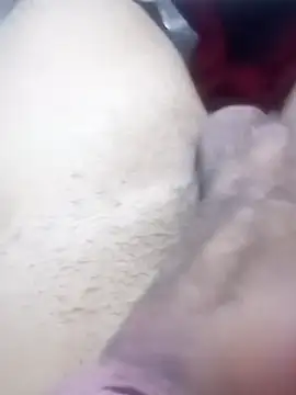 CasalDrak7 online show from November 17, 2025, 7:30 pm