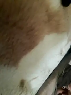 Snapshot of Perfect_size chatting on November 20, 2025, 8:58 am Perfect size online show from November 20, 2025, 8:58 am