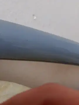 Snapshot of Brigitta886 chatting on November 1, 2025, 10:50 am Brigitta886 online show from November 1, 2025, 10:50 am