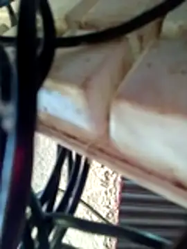 Neelurajpoot122 online show from November 18, 2025, 8:08 am