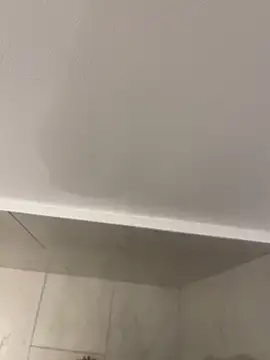 Snapshot of Maia0823 chatting on November 21, 2025, 4:44 am Maia0823 online show from November 21, 2025, 4:44 am