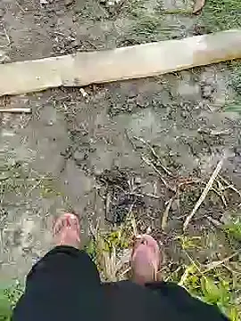 Snapshot of bigh96dik chatting on January 14, 2025, 8:41 am bigh96dik online show from January 14, 2025, 8:41 am