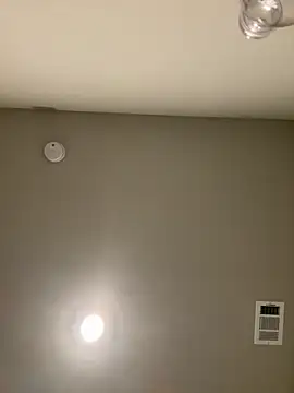 Snapshot of blue5455 chatting on February 9, 2025, 4:14 am blue5455 online show from February 9, 2025, 4:14 am