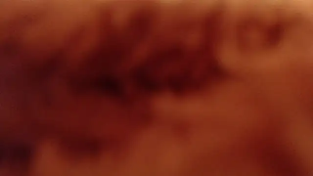 Snapshot of larawet chatting on January 4, 2025, 11:17 pm larawet online show from January 4, 2025, 11:17 pm