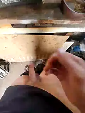 Snapshot of bighornycockup chatting on December 26, 2024, 11:35 pm bighornycockup online show from December 26, 2024, 11:35 pm