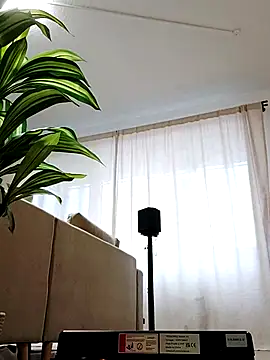 Snapshot of mister-dwt chatting on February 26, 2025, 6:47 am mister-dwt online show from February 26, 2025, 6:47 am