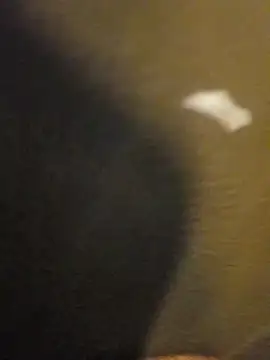 Snapshot of Sripandara1 chatting on March 22, 2025, 12:04 pm Sripandara1 online show from March 22, 2025, 12:04 pm