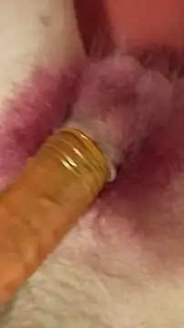 Snapshot of DerWeisser chatting on February 3, 2025, 9:29 pm DerWeisser online show from February 3, 2025, 9:29 pm