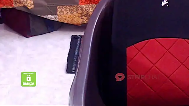 Novapol online show from February 9, 2025, 10:31 am