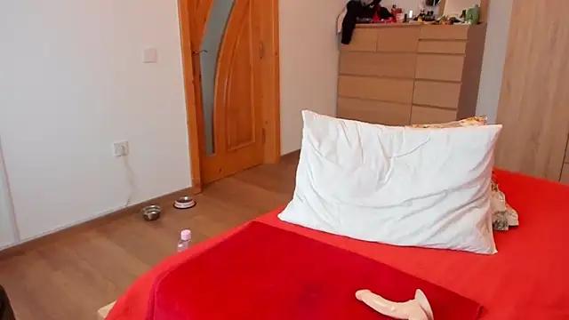 Snapshot of wildalissa chatting on February 21, 2025, 6:59 pm wildalissa online show from February 21, 2025, 6:59 pm