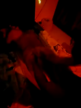 Snapshot of walterpinkman123 chatting on October 8, 2025, 4:21 am walterpinkman123 online show from October 8, 2025, 4:21 am