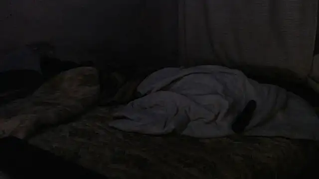 devine TATAS online show from September 16, 2025, 7:26 pm