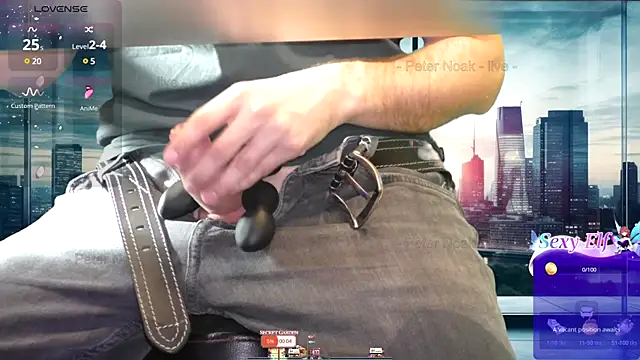 Snapshot of PeterNoak chatting on January 21, 2025, 9:46 pm PeterNoak online show from January 21, 2025, 9:46 pm