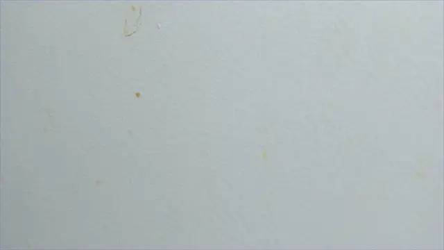 Snapshot of lisa2018 chatting on February 21, 2025, 11:10 pm lisa2018 online show from February 21, 2025, 11:10 pm