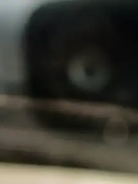 Snapshot of hornydick4you chatting on March 2, 2025, 10:56 am hornydick4you online show from March 2, 2025, 10:56 am