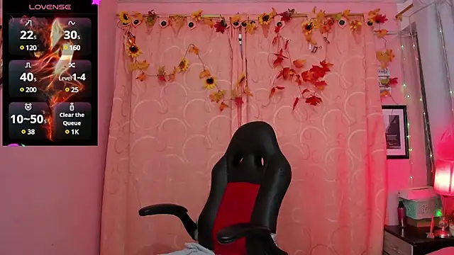 Snapshot of DarshaKhemu chatting on December 3, 2024, 8:17 pm DarshaKhemu online show from December 3, 2024, 8:17 pm