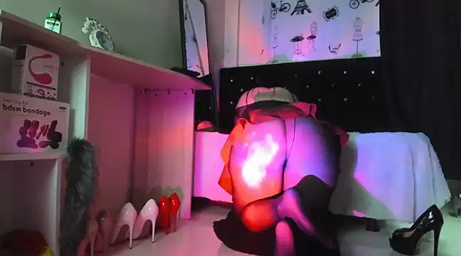 Snapshot of emely_garcia chatting on December 26, 2024, 8:11 pm emely garcia online show from December 26, 2024, 8:11 pm