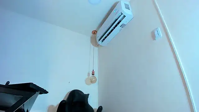 Snapshot of xGenesis_Miller_ chatting on January 21, 2025, 11:55 pm xGenesis Miller  online show from January 21, 2025, 11:55 pm