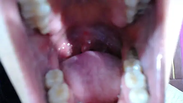 Snapshot of Chanel-24 chatting on January 3, 2025, 5:17 am Chanel-24 online show from January 3, 2025, 5:17 am