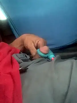 Snapshot of Likewise chatting on December 8, 2024, 4:50 pm Likewise online show from December 8, 2024, 4:50 pm