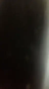 Snapshot of Likewise chatting on December 22, 2024, 9:09 pm Likewise online show from December 22, 2024, 9:09 pm