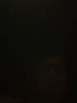 Snapshot of Likewise chatting on December 26, 2024, 1:54 pm Likewise online show from December 26, 2024, 1:54 pm