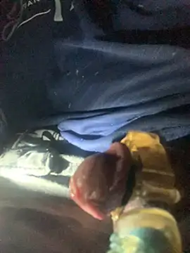 Snapshot of Likewise chatting on February 27, 2025, 9:54 am Likewise online show from February 27, 2025, 9:54 am