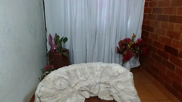 Snapshot of rashellroses22 chatting on December 20, 2024, 10:22 pm rashellroses22 online show from December 20, 2024, 10:22 pm