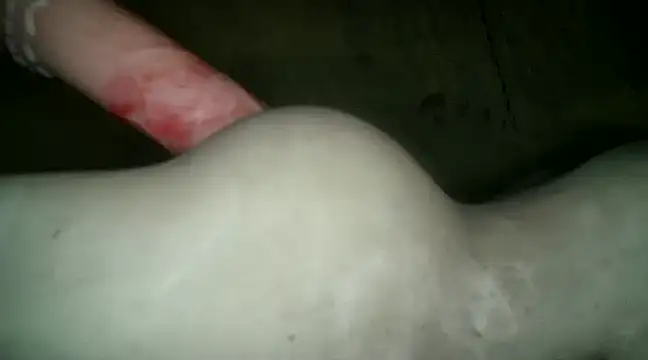 Snapshot of xxxlecram chatting on January 9, 2025, 12:09 pm xxxlecram online show from January 9, 2025, 12:09 pm