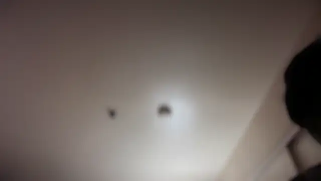 Snapshot of Yagurl__west chatting on February 13, 2025, 8:24 pm Yagurl west online show from February 13, 2025, 8:24 pm