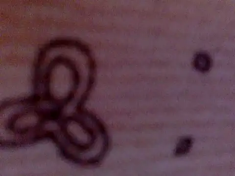 Snapshot of soniasharma0223 chatting on February 17, 2025, 5:47 am soniasharma0223 online show from February 17, 2025, 5:47 am