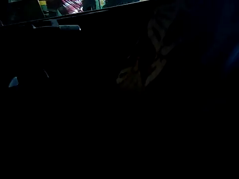 Snapshot of Kolkata___Boy chatting on September 16, 2025, 4:52 pm Kolkata   Boy online show from September 16, 2025, 4:52 pm